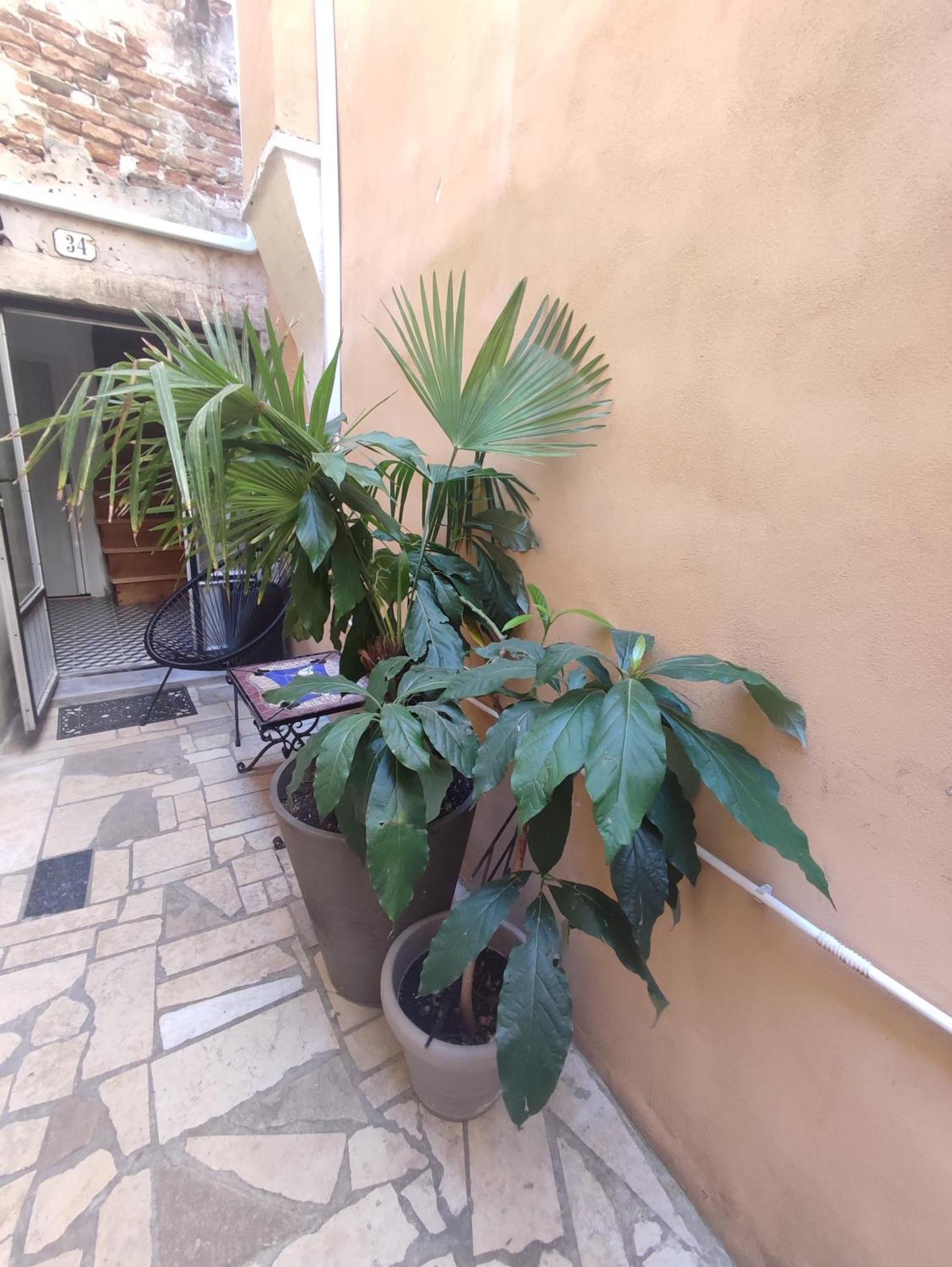 Studio Barka Ρόβινι Εξωτερικό φωτογραφία